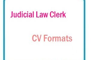 Judicial Law Clerk CV Formats