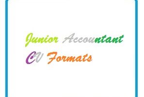 Junior Accountant CV Formats
