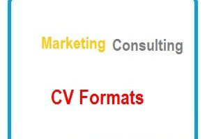 Marketing Consultant CV Formats