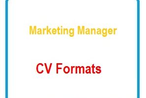 Marketing Writer CV Formats