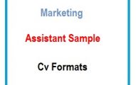 Marketing assistant sample CV Formats