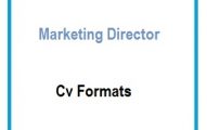 Marketing director CV Formats