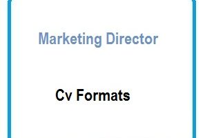 Marketing director CV Formats