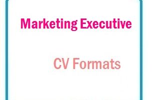 Marketing executive CV Formats