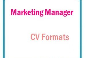 Marketing manager CV Formats