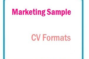 Marketing sample CV Formats