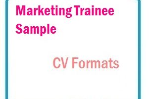 Marketing trainee sample CV Formats