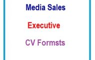 Media Sales Executive CV Formats