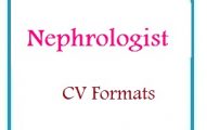 Nephrologist CV Formats