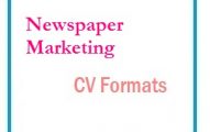 Newspaper marketing CV Formats