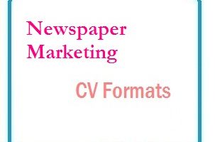 Newspaper marketing CV Formats