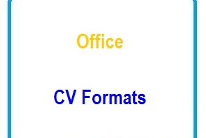 Office CV Formats
