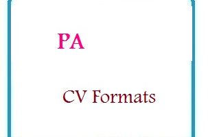 PA CV Formats