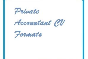 Private Accountant CV Formats