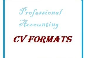 Professional Accounting CV Formats