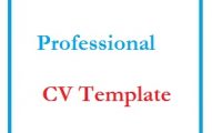 Professional CV Template