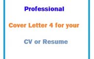Professional Cover Letter 4 for your CV or Resume