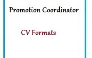 Promotions Coordinator CV Formats