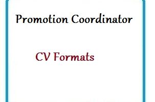 Promotions Coordinator CV Formats
