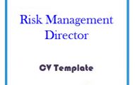 Risk Management Director CV Template