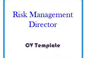 Risk Management Director CV Template
