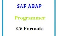 SAP ABAP Programmer CV Formats