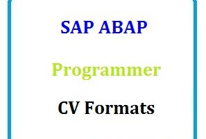 SAP ABAP Programmer CV Formats