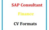 SAP Consultant Finance CV Formats