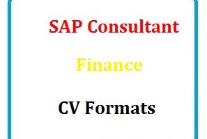 SAP Consultant Finance CV Formats