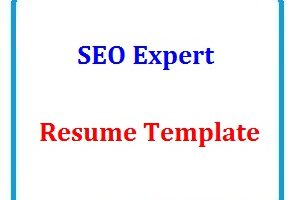 SEO Expert resume Template