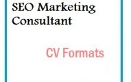 SEO Marketing Consultant CV Formats