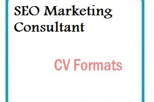 SEO Marketing Consultant CV Formats