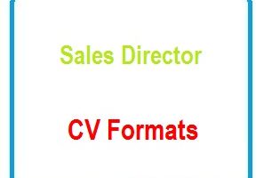 Sales Director CV Formats