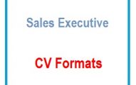 Sales Executive CV Formats