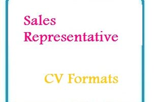 Sales Representative CV Formats