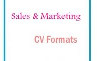 Sales and marketing CV Formats