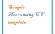 Sample Accounting CV template