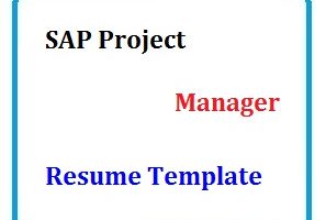 Sap Project Manager Resume Template