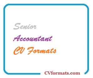 Senior Accountant CV Formats