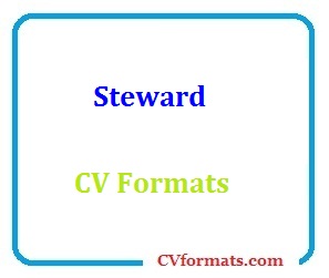 Steward CV Formats