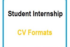 Student Internship CV Formats