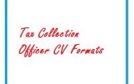 Tax Collection Officer CV Formats
