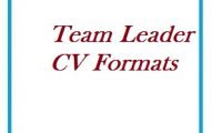 Team Leader CV Formats
