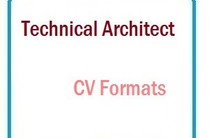 Technical Architect CV Formats