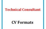 Technical Consultant CV Formats