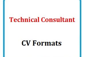 Technical Consultant CV Formats