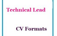 Technical Lead CV Formats