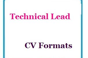 Technical Lead CV Formats