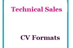 Technical Sales CV Formats