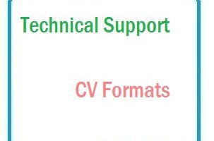 Technical Support CV Formats
